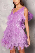 Women's Sleeveless Mini Dress with Fringe Detailing and Sequin Accents 1